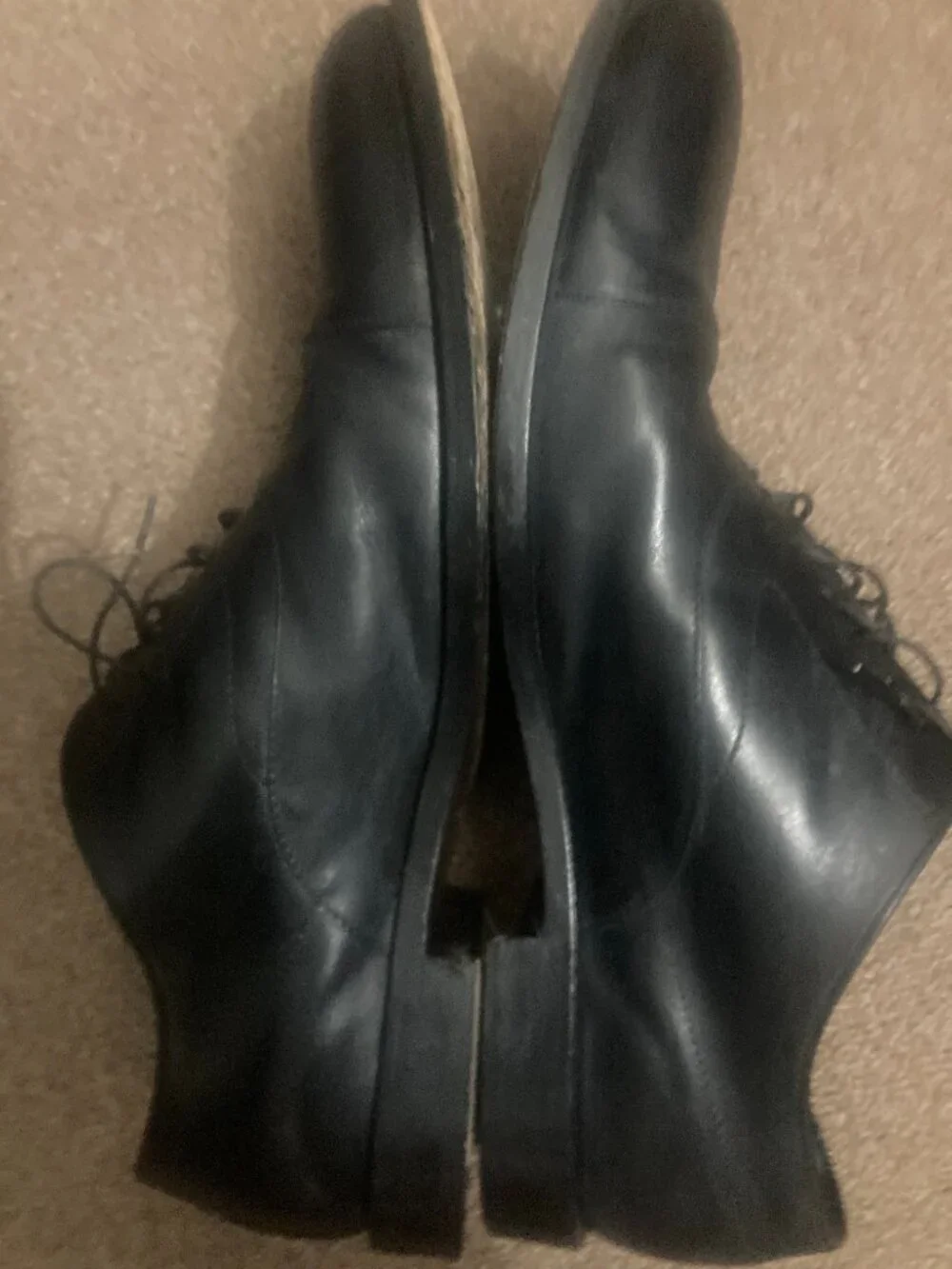 Tods Italian  Dress Shoes